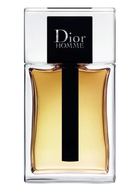 dior homme edt fragrantica.